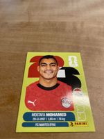 Panini egy 18