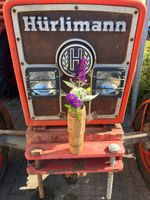 Hürlimann Dekoration 