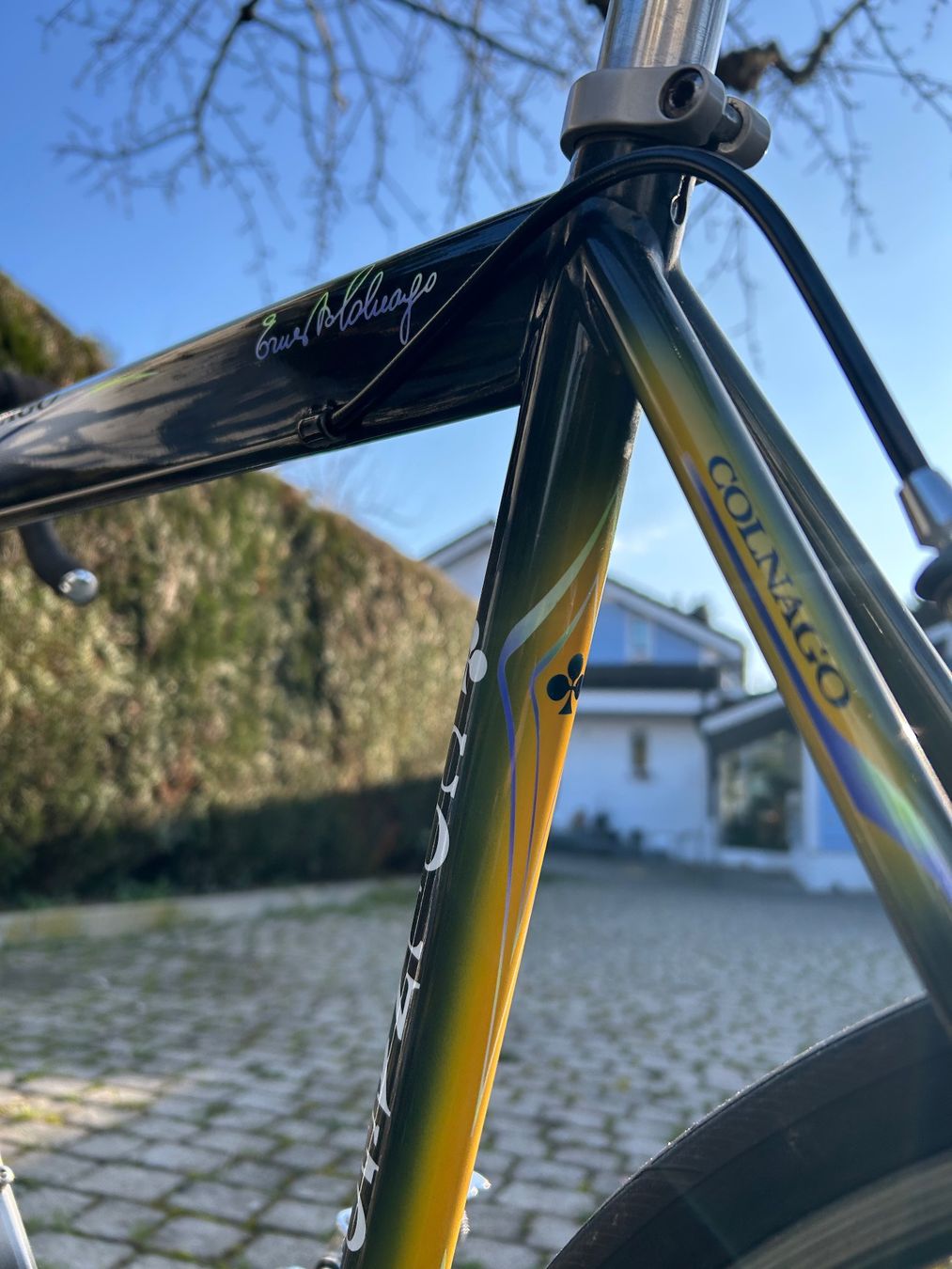 Colnago Biciclette: Vélo Colnago Titanio art Décor – Usato da Corsier GE venduto da cot_8bgx 7
