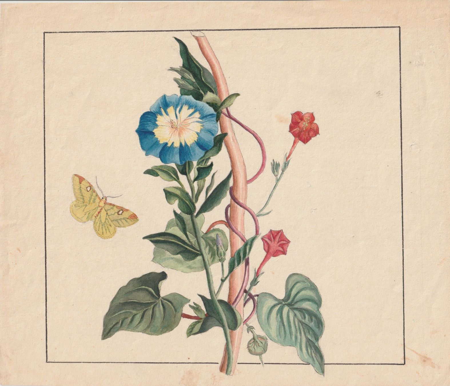 Poster & Bilder: Zwei Blumenbilder, handcoloriert – Gebraucht aus Freienbach von Bhaltis 1