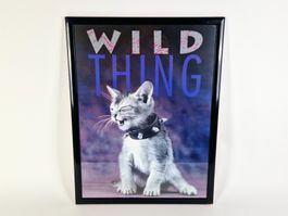 1990 Wild Thing Kätzchen Poster, 63.8 x 48.7 cm