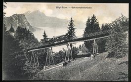 Rigi-Bahn passiert die Schnurtobelbrück