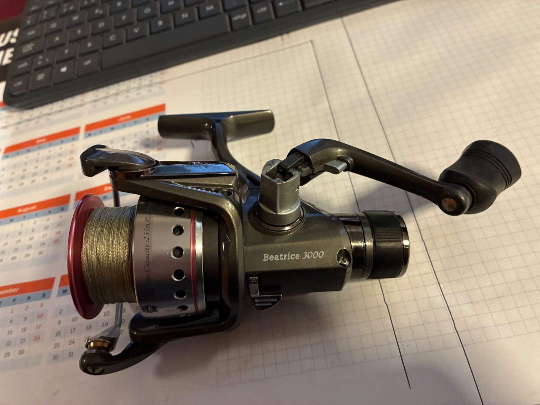 Tamburi & Mulinelli: Beatrice 3000 Angelrolle – Usato da Pfäffikon ZH venduto da mespe01 2