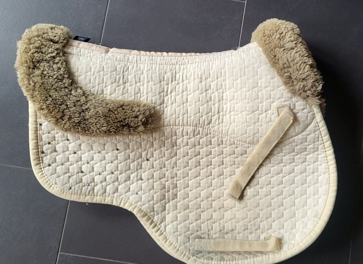 Coperte: Mattes Springschabracke mit Glitzer – Usato da Brugg AG venduto da Leona90 5