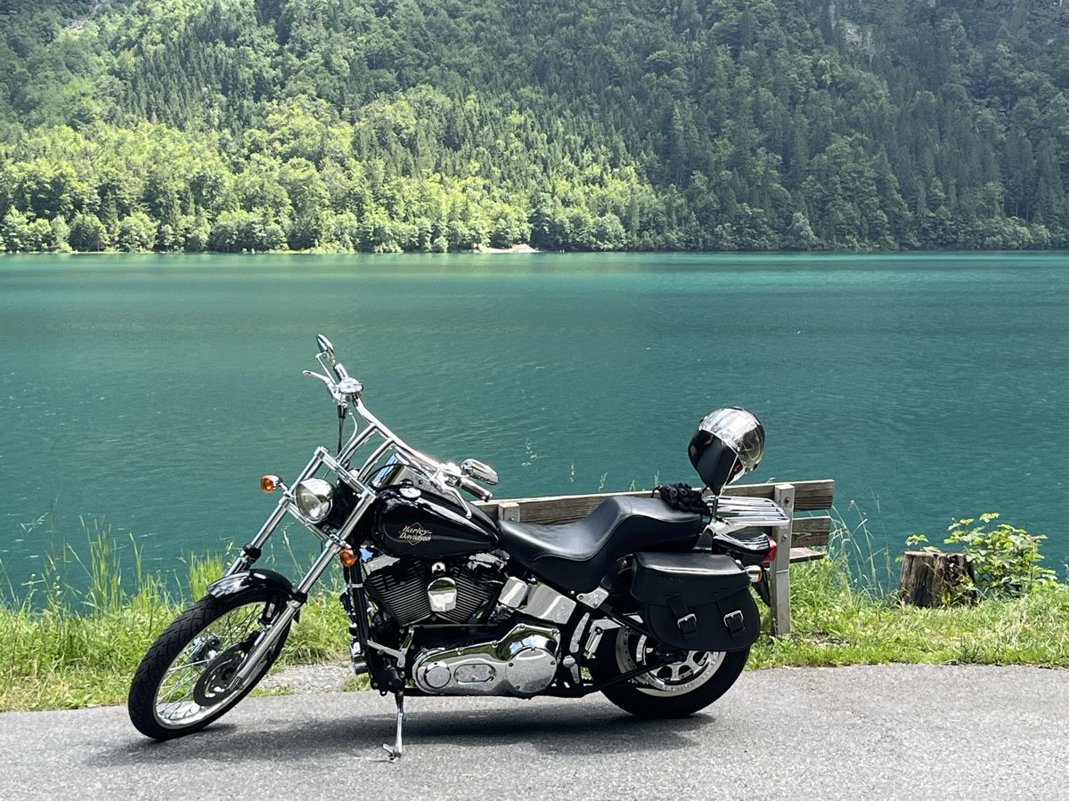 Harley-Davidson Chopper: Harley Davidson Softail Night Train – Gebraucht aus Schindellegi von Mmickeymouse 1