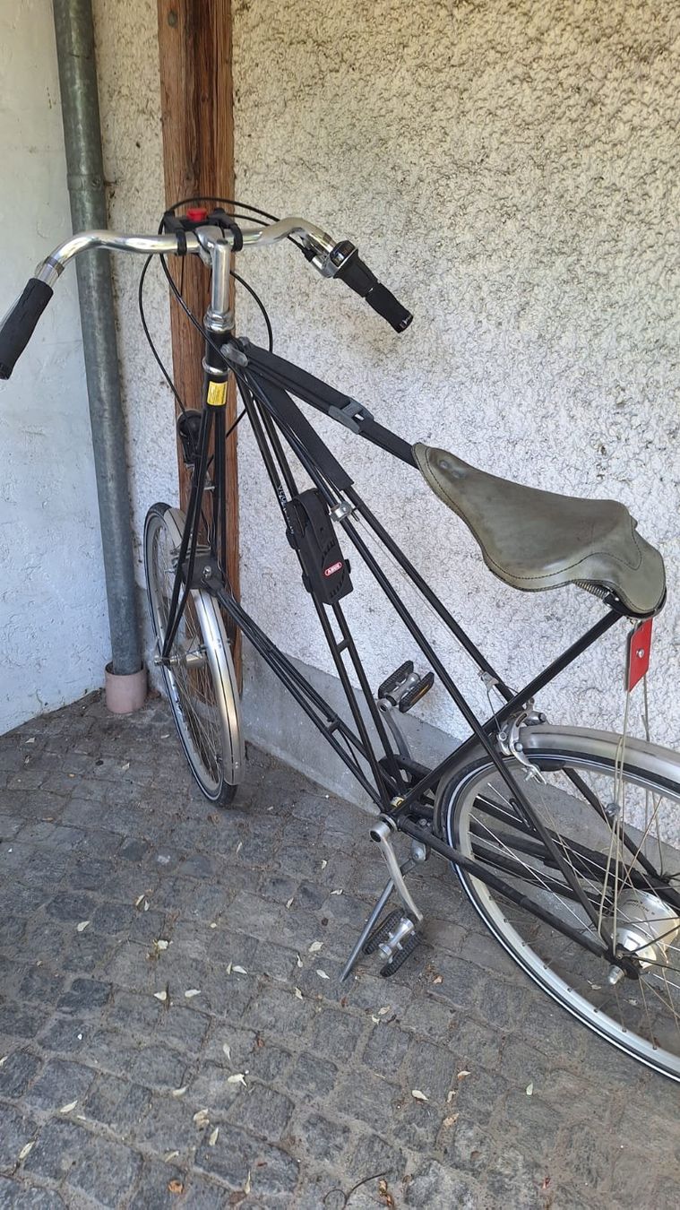 Biciclette: Pedersen Hängesattelvelo > ein Hingucker – Usato da Hinwil venduto da dun_tt2z 3