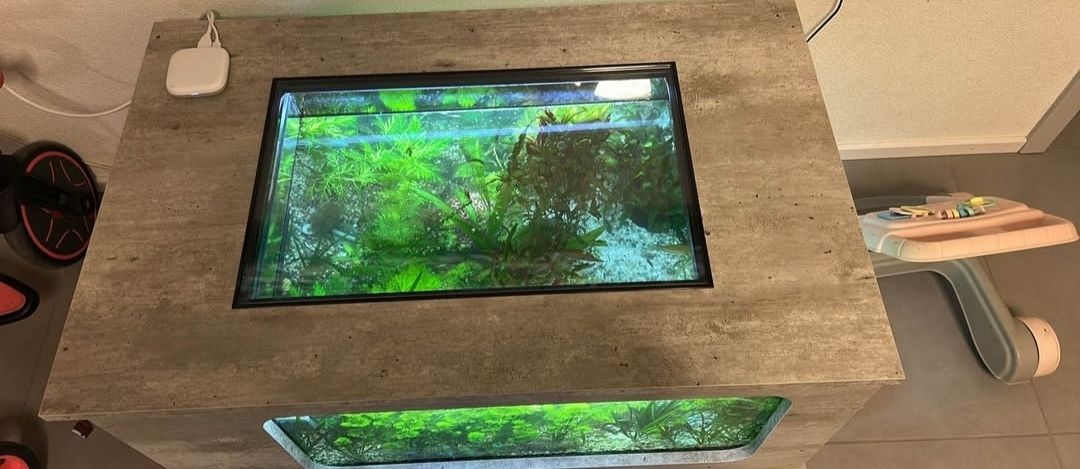 Aquarium: aquarium table – D'occasion à Schwarzsee par Blt1 1