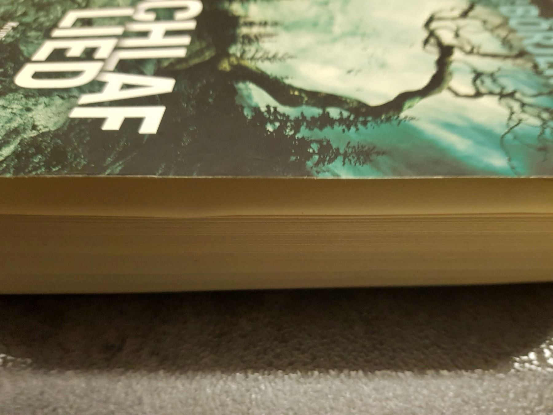 Libri: Schlaflied / Cilla & Rolf Börjlind – Usato da Dietikon venduto da marconi07 2