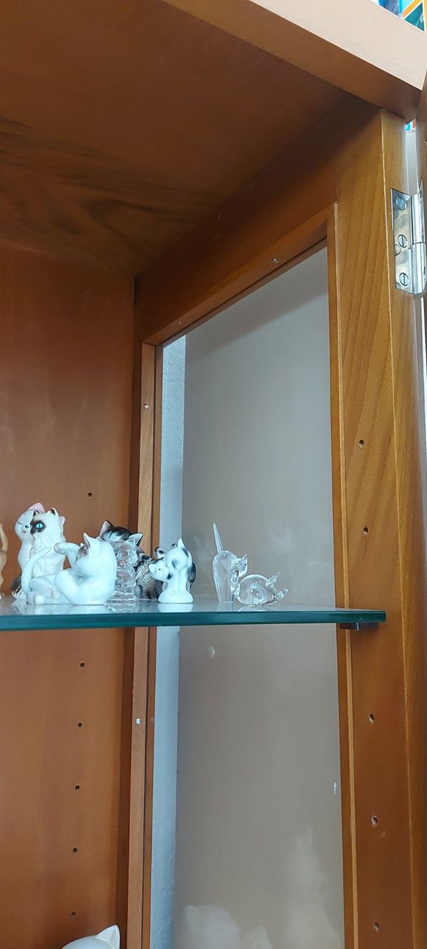 Vitrinen: Vitrine! – Gebraucht aus Rehetobel von Suejoe 8