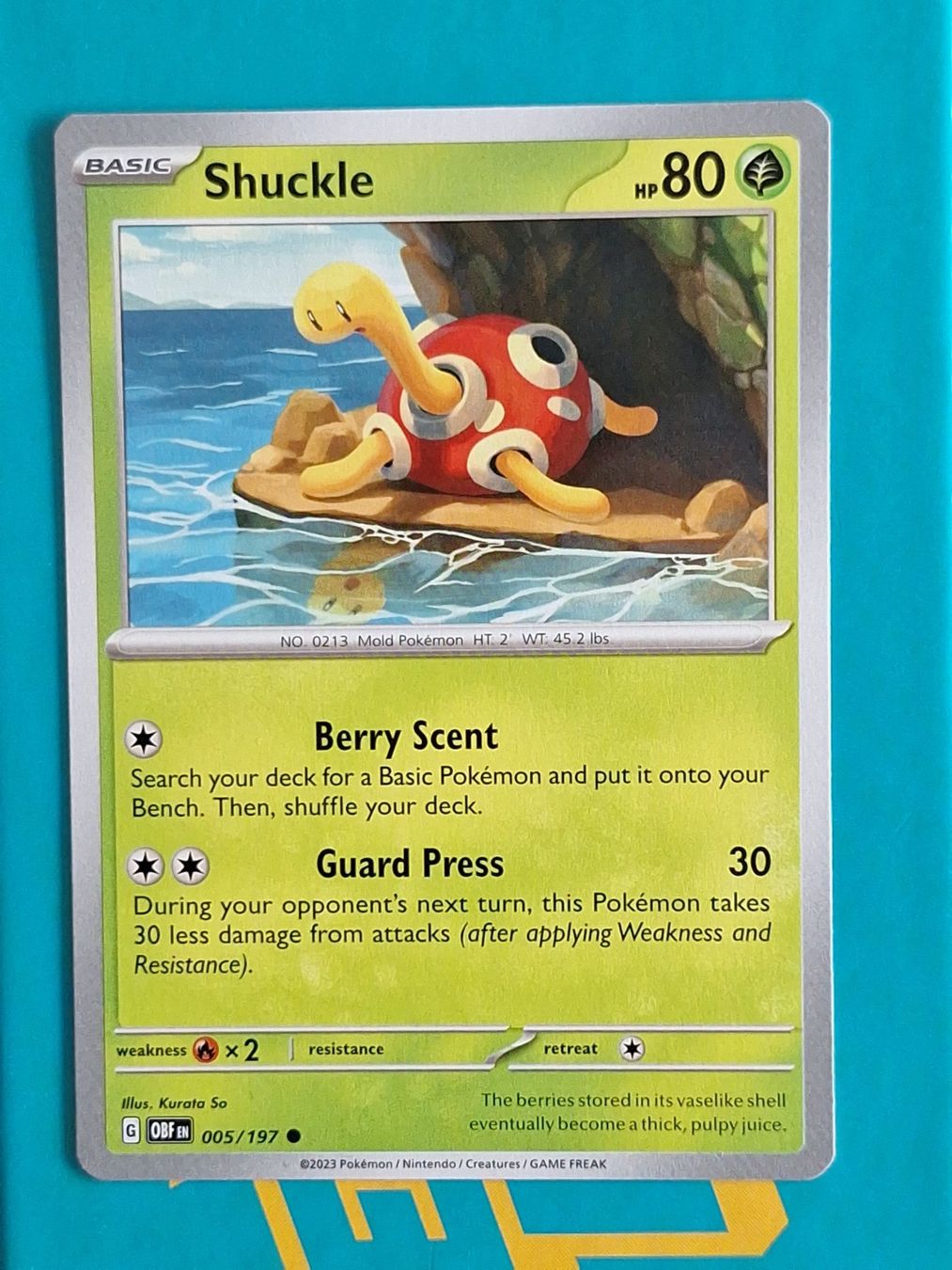 Pokémon Carte collezionabili: Shuckle - Pokemon Obsidian Flames – Usato da Altstätten SG venduto da GGsGameshop