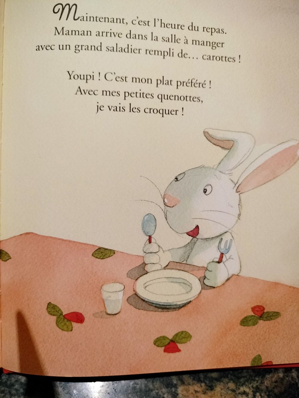 Libri: La belle histoire de mes 2 ans Fleurus – Usato da Cortaillod venduto da rozinna 9