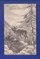 CERF - Bonne Année