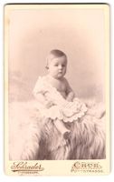 Fotografie Schrader, Chur, Poststr., Por