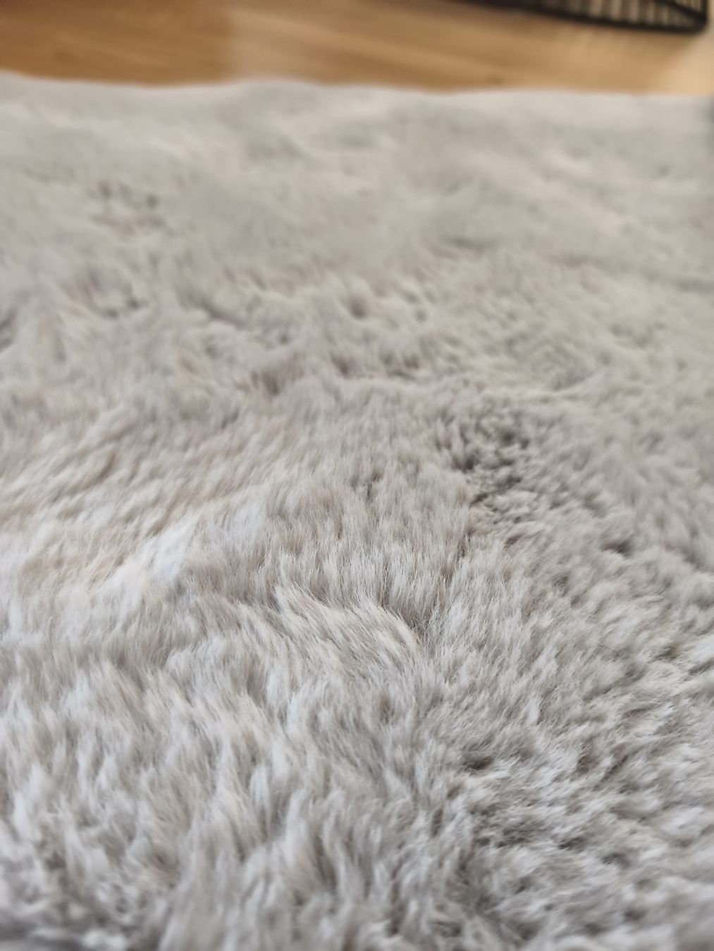 Tappeti: Kunstfellteppich grau 180x80 cm – Nuovo (secondo la descrizione) da Reinach BL venduto da aly_02 2
