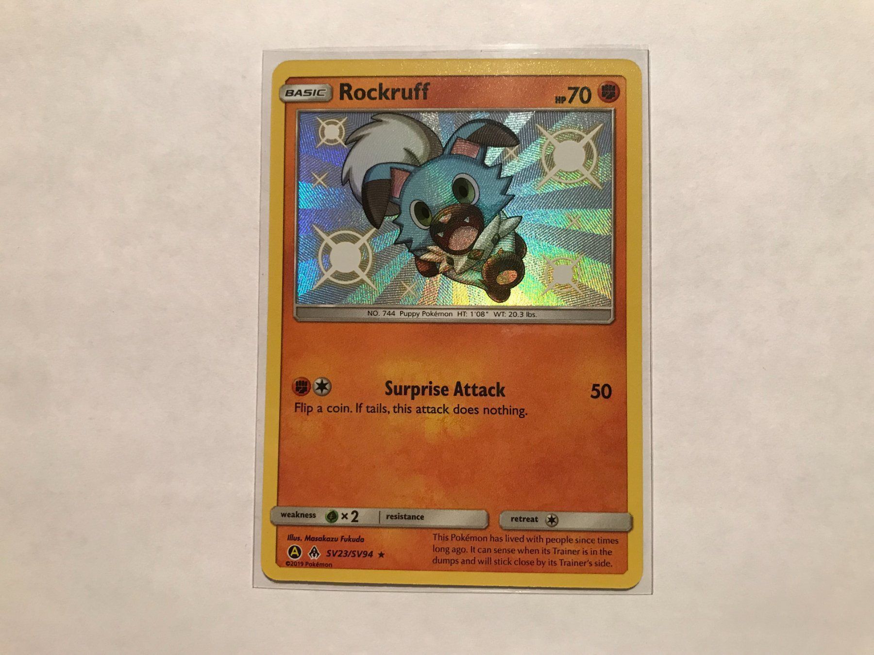 Pokémon Carte collezionabili: Rockruff Shiny EN – Usato da Hagendorn venduto da Pokecollectorch
