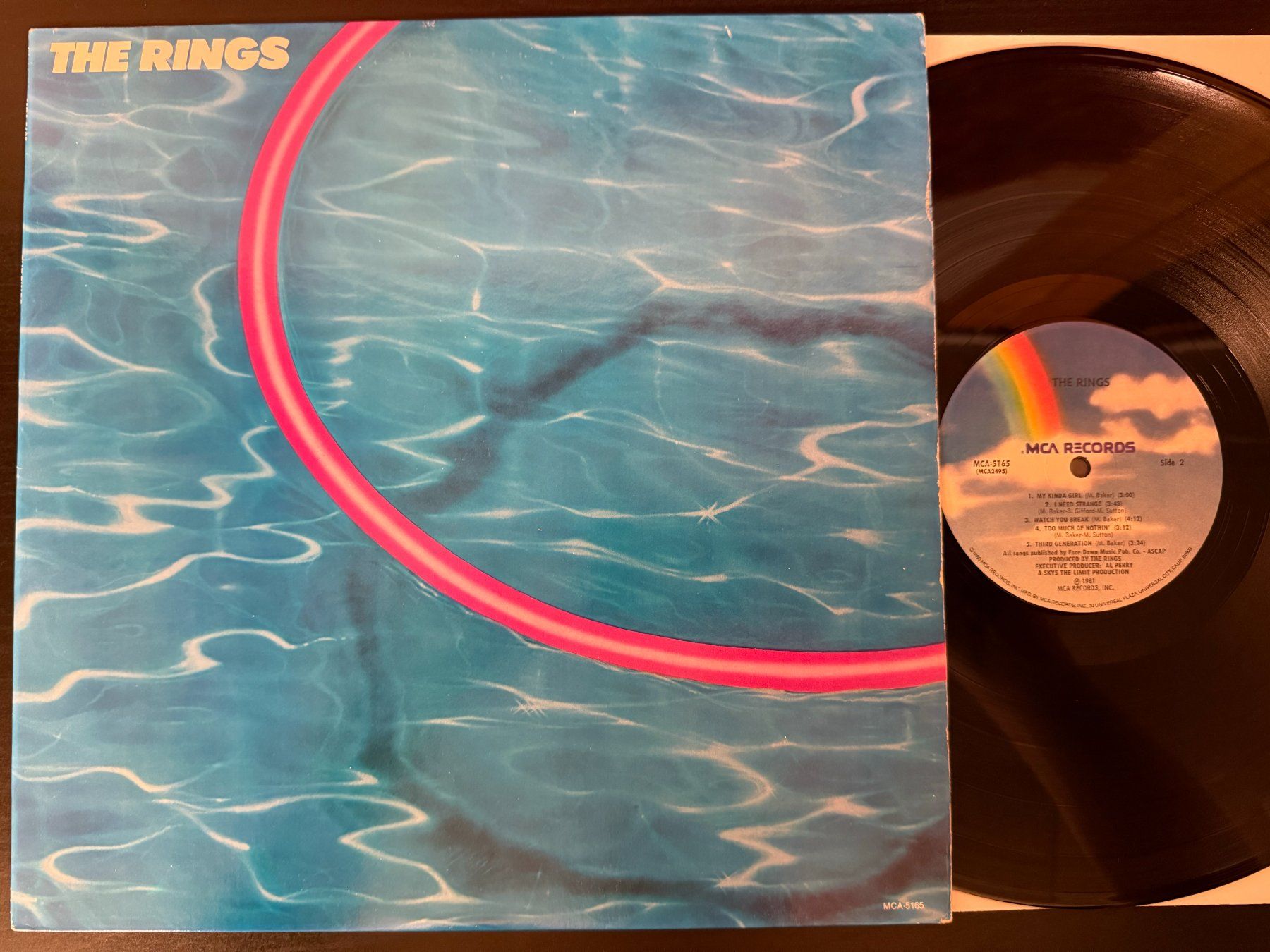 Dischi in vinile: The Rings – The Rings [LP US 1981] – Usato da Tamins venduto da Dark-Skull-Vinyl