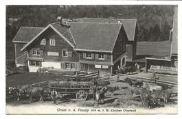 Gruss von der Pooalp Wald (ZH) Wirtschaft - Fuhrwerk - 1908
