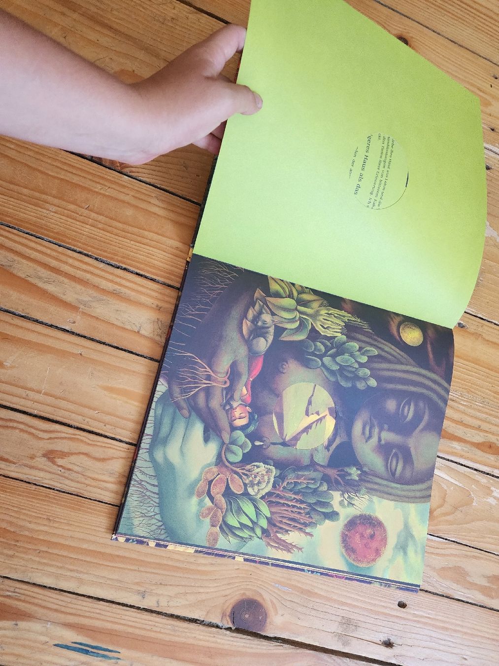 Libri: Frida Buch mit Klapp-Effekten guter Zustand – Usato da Schötz venduto da Zust 3