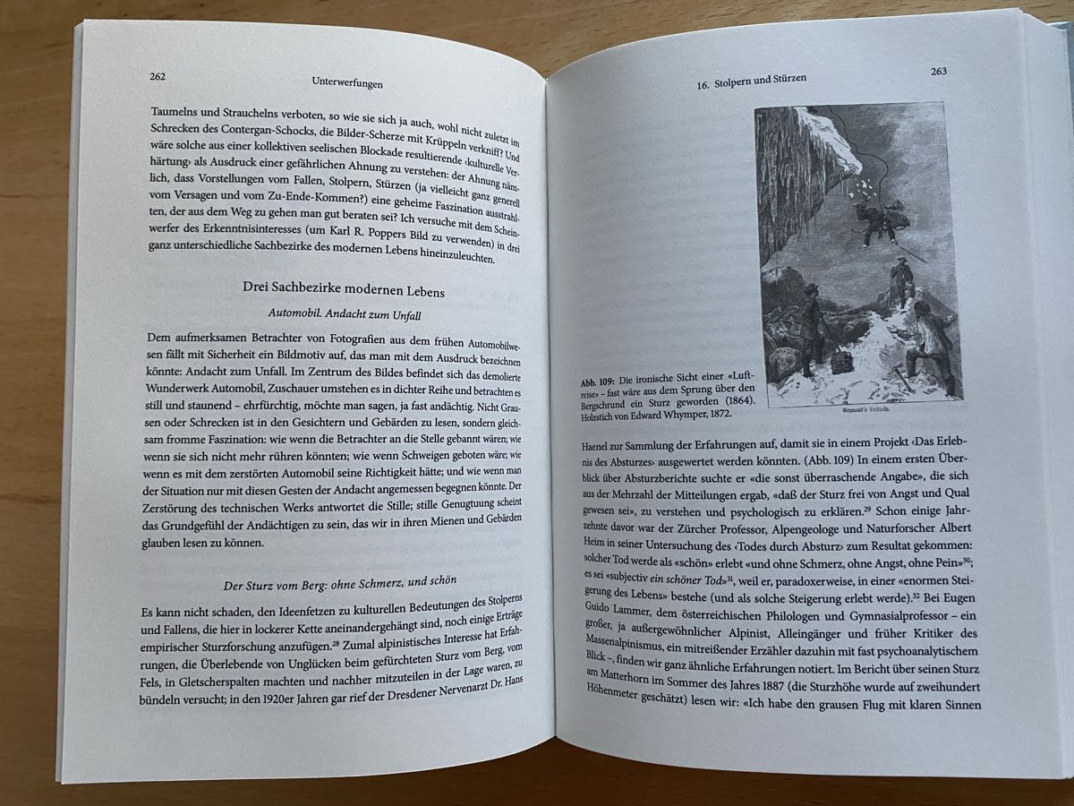 Libri: Das Herz der Höhe - Martin Scharfe – Usato da Schwarzenburg venduto da Michellu 9