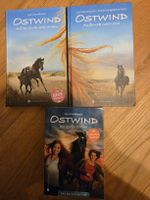 3 Ostwind Bücher von Lea Schmidbauer gebrauchter Zustand