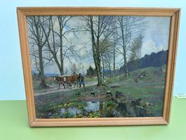 Scène champêtre dans la forêt