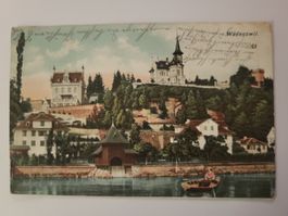 Ansichtskarte Wädenswil gelaufen im Jahr 1905 antik R5F