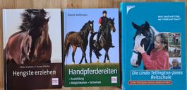 Handpferdreiten - Hengste erziehen - TTouch Reitschule