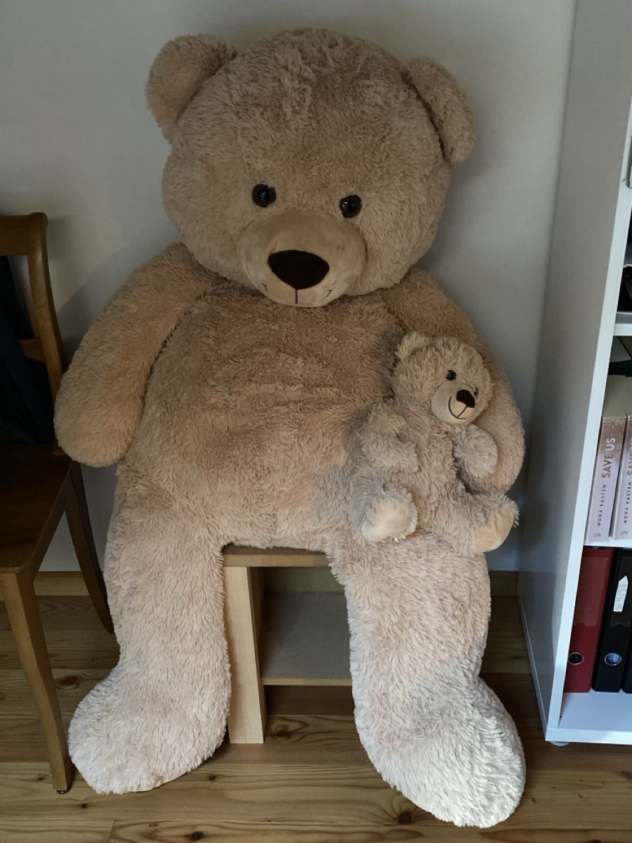 Giocattoli: Teddybär gross (ca. 1,30m) – Nuovo (secondo la descrizione) da Lavin venduto da lor_f9mr