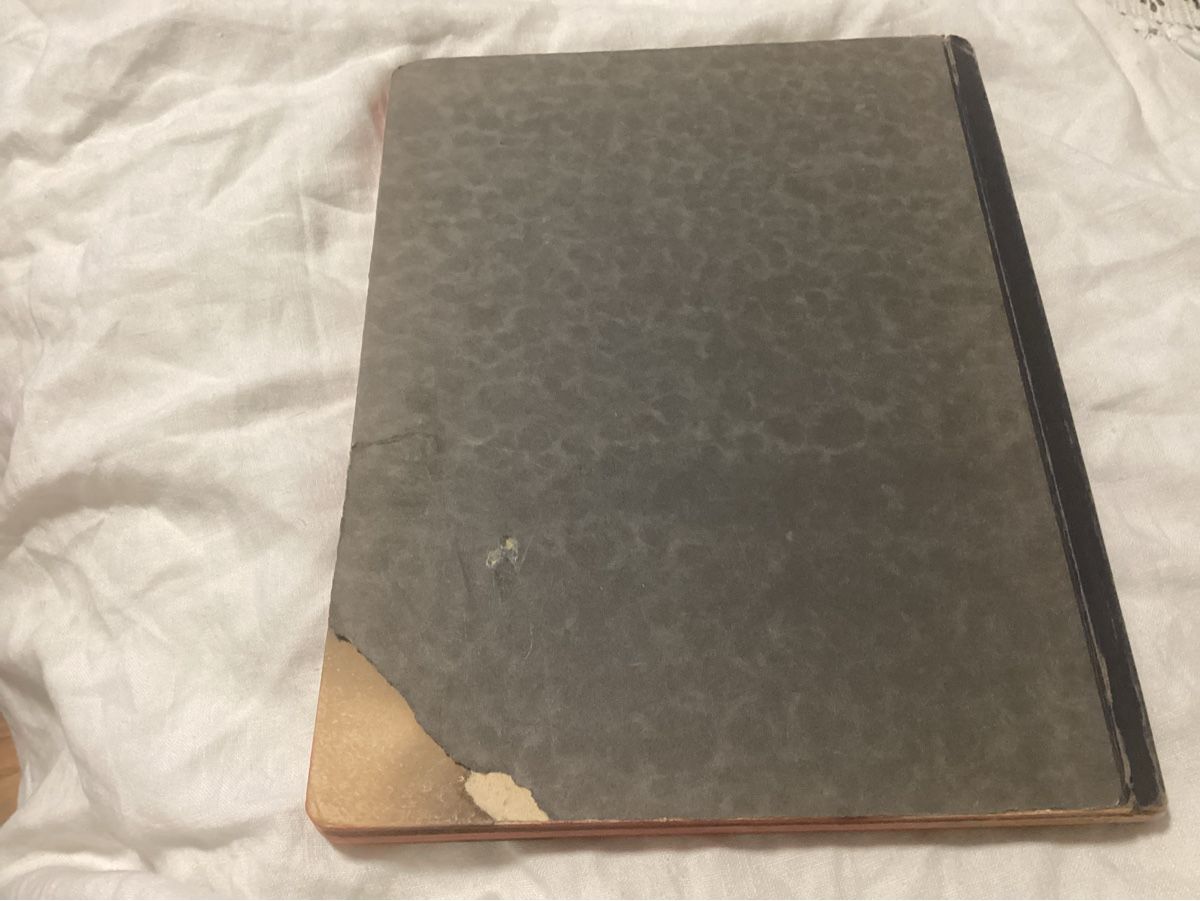 Libri: ANTIKES KINDERBUCH VON BING 1919 – Usato da Münchenstein venduto da NoSu98 6