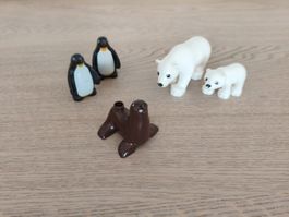Duplo 