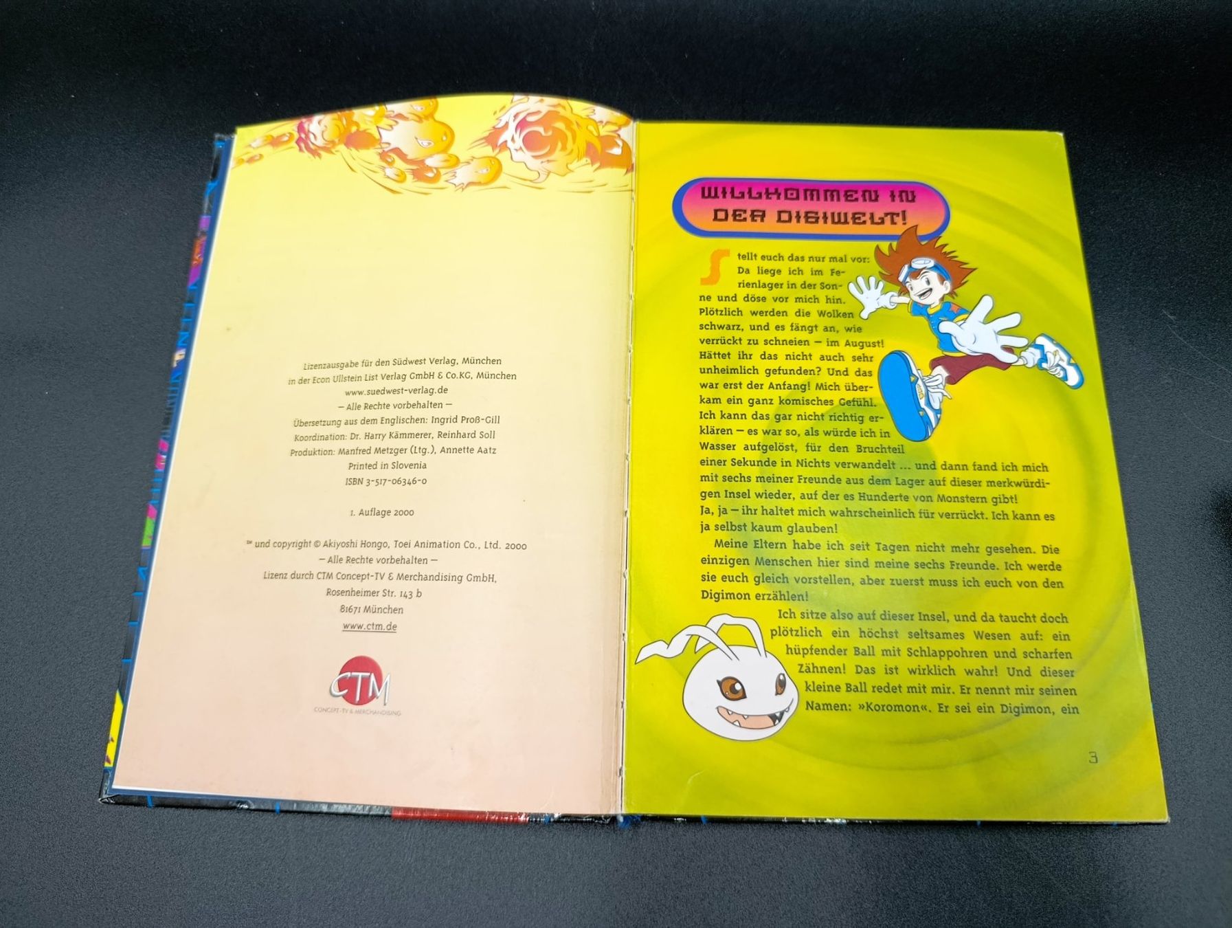 Bücher: Digimon, der offizielle Character Guide 2000, 1.Auflage – Gebraucht aus Wil SG von Donaldus 2