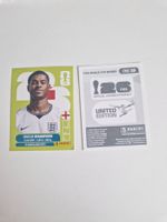 Panini Sticker ENG19
