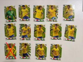 Panini Road to 2014 FIFA World Cup Brazil - Brazil