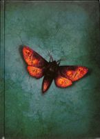 Reckless  2 - Lebendige Schatten