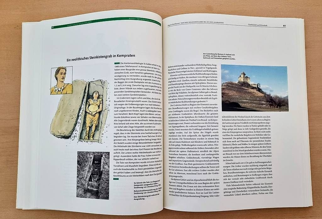 Libri: 9 Bände St Galler Geschichte, Frühzeit bis 2000 – Usato da Wil SG venduto da Hol 3