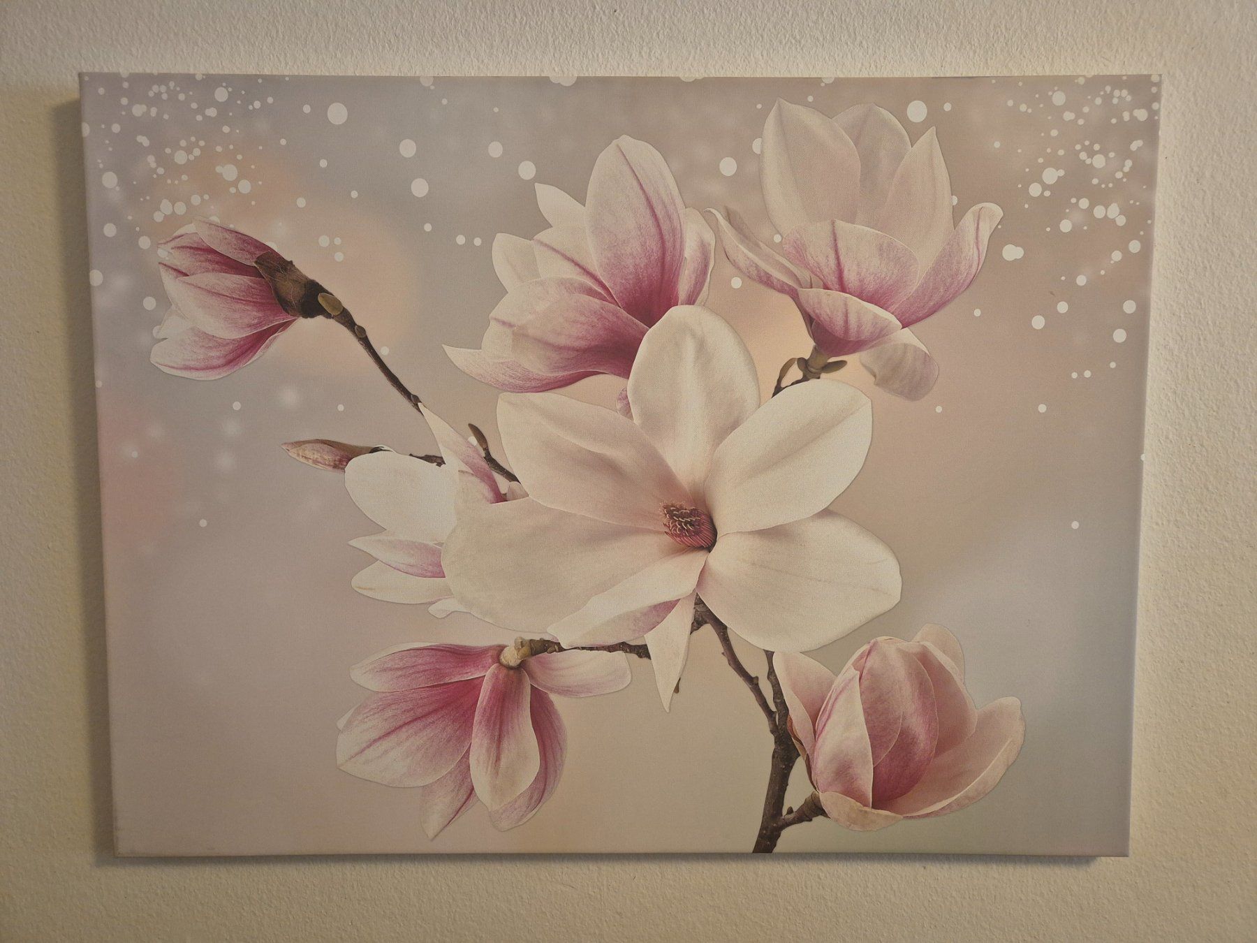 Tele & Cornici: Toile sur cadre - fleurs - 100cm x 75cm – Usato da Genève venduto da daudin 1