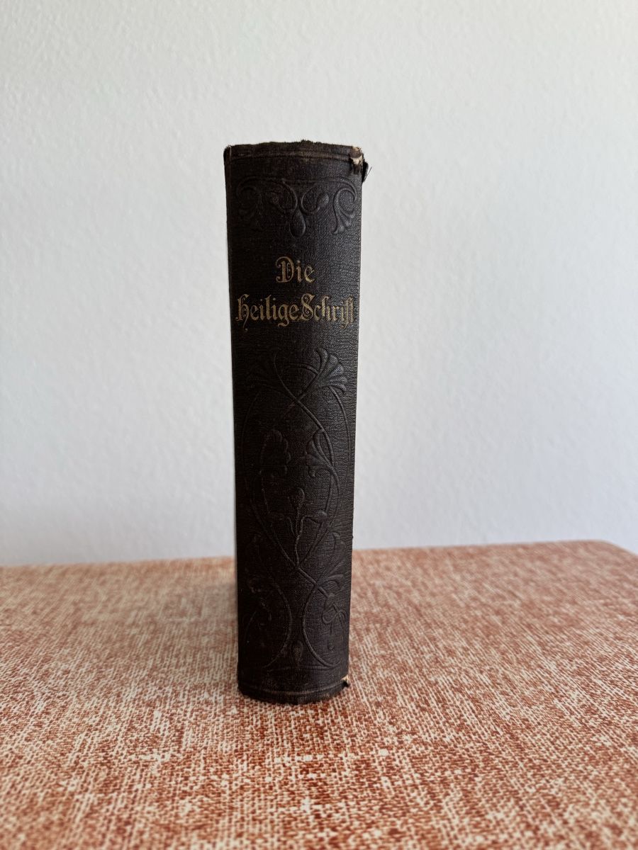 Bücher: Bibel – Gebraucht aus Reinach BL von Hagast 2