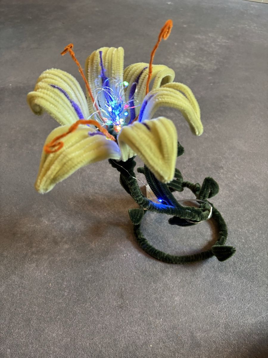 Tutte le decorazioni: Rapunzel Pfeifenreiniger Lampe – Nuovo e nell'imballaggio originale da Ramosch venduto da Lalaromi-80 2