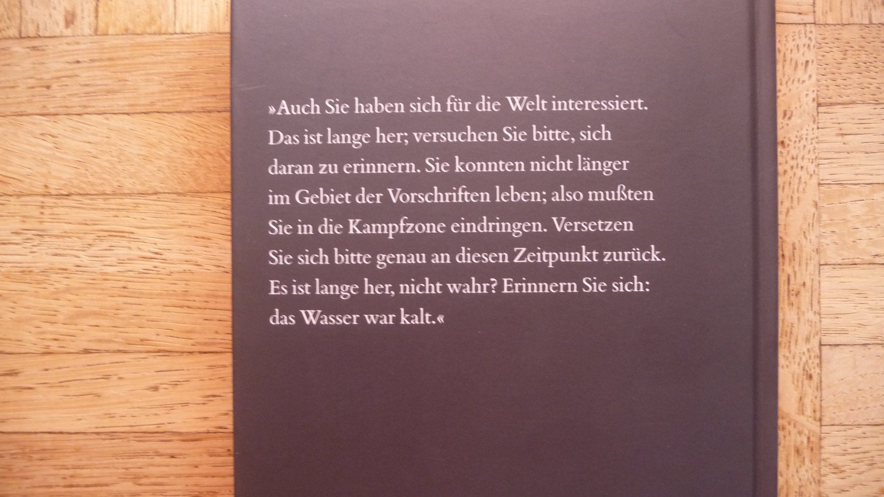 Libri: Michel Houelllebecq, Ausweitung der Kampfzone – Usato da Zürich venduto da Edje 2