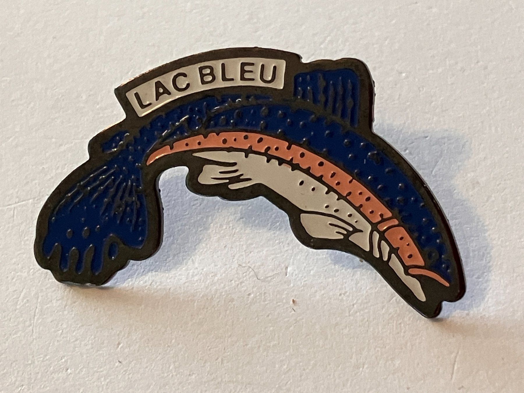 Placchette & Badge: 1 Pin Lac Bleu – Usato da Basel venduto da djwwpp