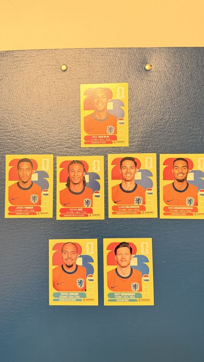 Panini Carte collezionabili: Panini NED – Nuovo (secondo la descrizione) da Oberhasli venduto da Alanickal