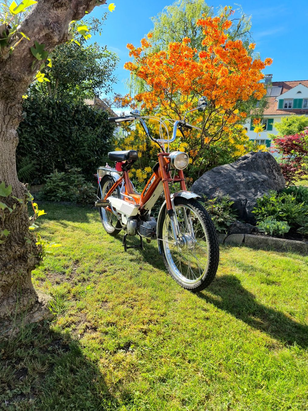 Puch Cyclomoteurs: Puch Maxi N CH 7168 – D'occasion à Niederuzwil par nic_f2574