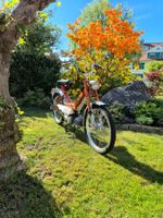 Puch Maxi N CH 7168