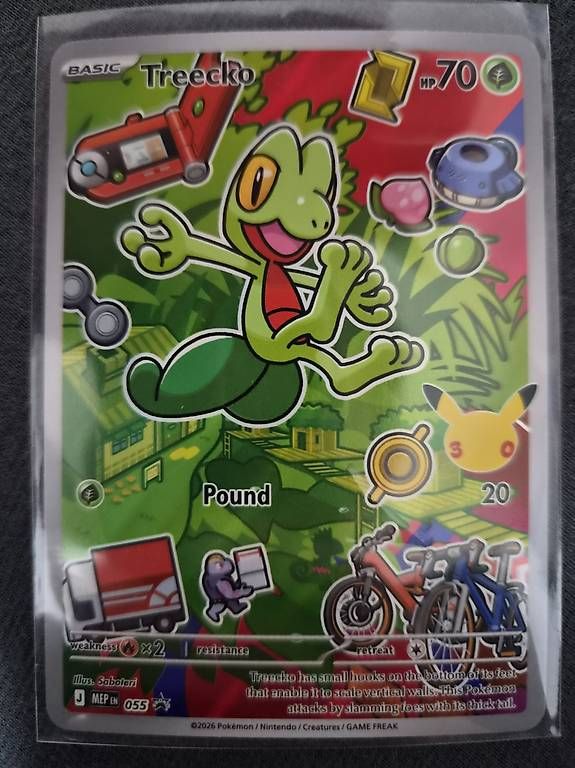 Pokémon Carte collezionabili: 3 Cartes Pokémon Mudkip Treecko Torchic – Nuovo e nell'imballaggio originale da Gland venduto da Stephisa 2