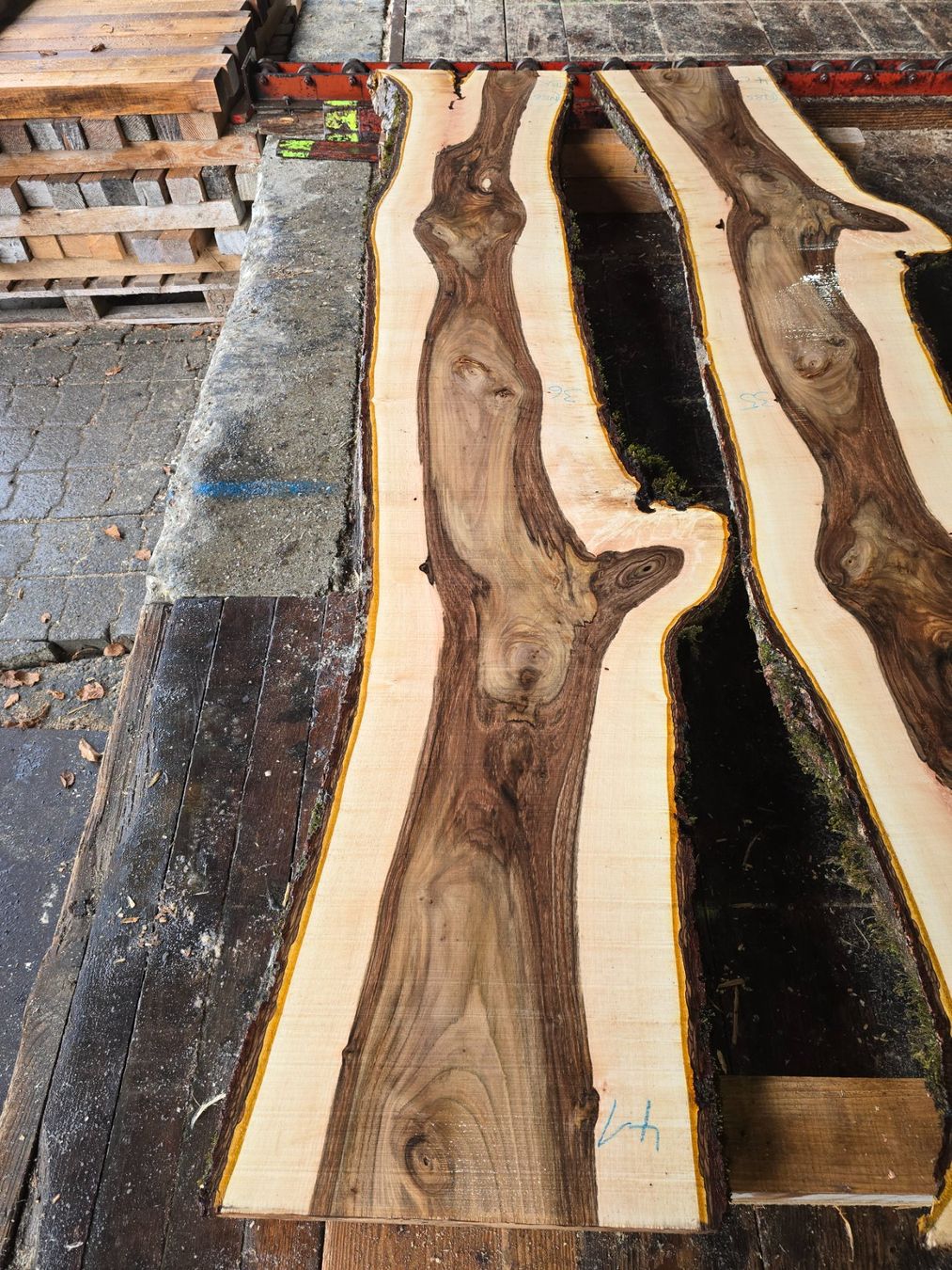 Articoli in legno: Nussbaumbrett Nr. N86 – Nuovo (secondo la descrizione) da Ramsei venduto da Waelchris 1