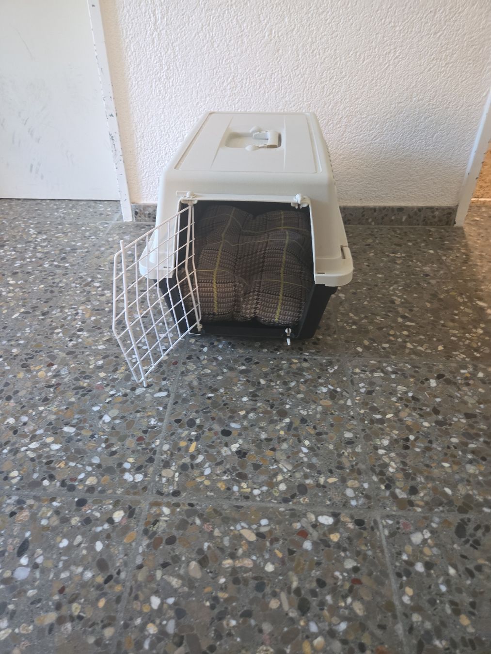 Käfige, Transport & Sicherheit: Transportbox für Katzen – Gebraucht aus Studen BE von wellingtonrueesch