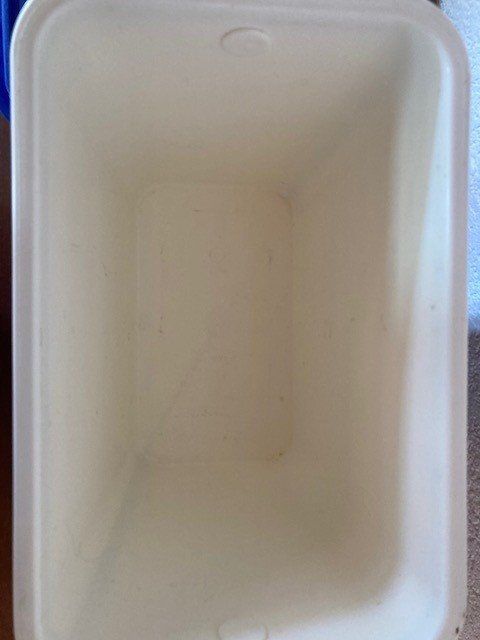 Kühlschränke & Kühlen: Kühlbox Willow 25 Liter Cooler Camping – Gebraucht aus Weggis von Secondsell 3