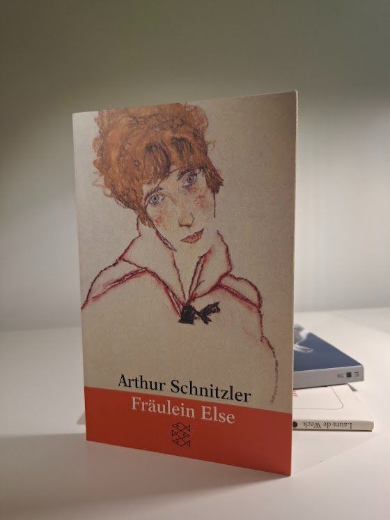 Libri: Sammlung Deutscher Schullektüre – Usato da Au ZH venduto da zettel_zueri 1