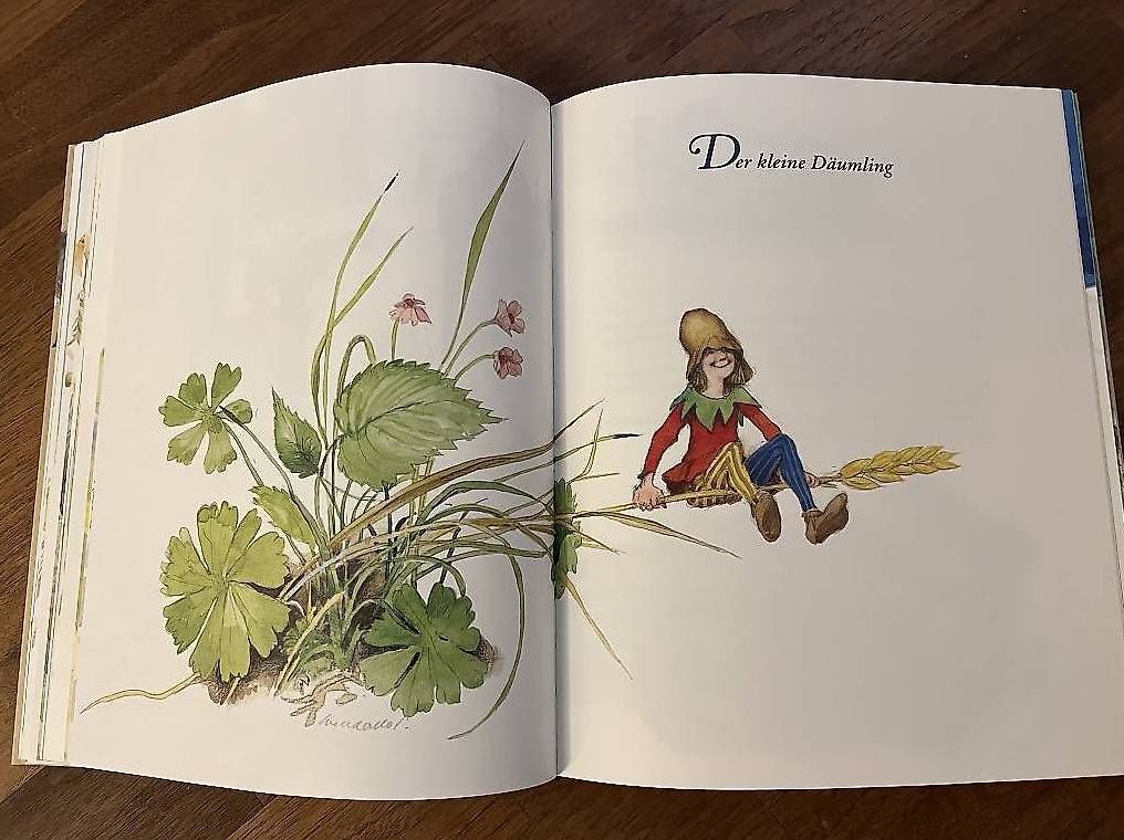 Libri: Die schönsten Märchen der Brüder Grimm - NEU – Nuovo (secondo la descrizione) da Oberrohrdorf venduto da Augustus5 3