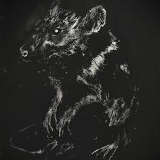Profile image of RatsTreasure